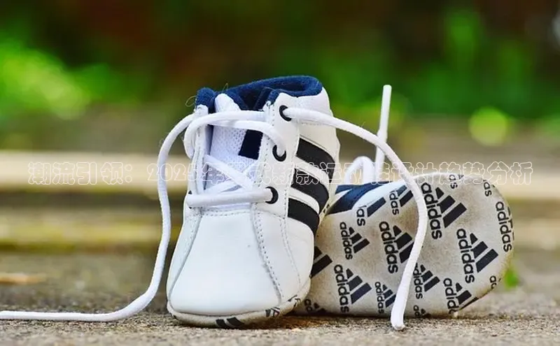 尊龙卡z6官方网站入口