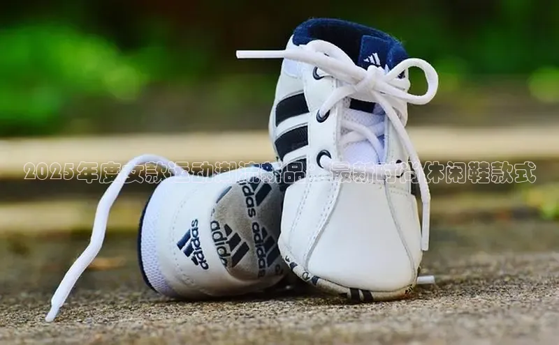 尊龙卡z6官方网站入口