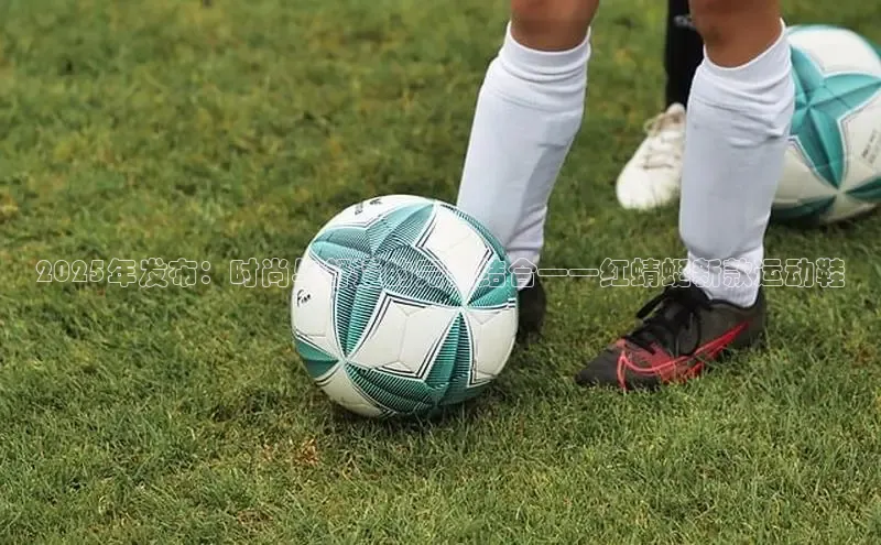 尊龙卡z6官方网站入口